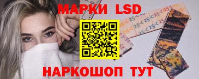 гашик Будённовск