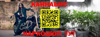 гашик Будённовск