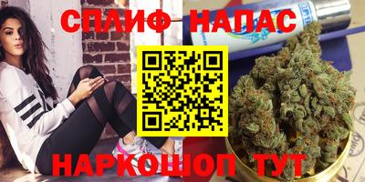 гашик Будённовск