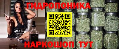 гашик Будённовск