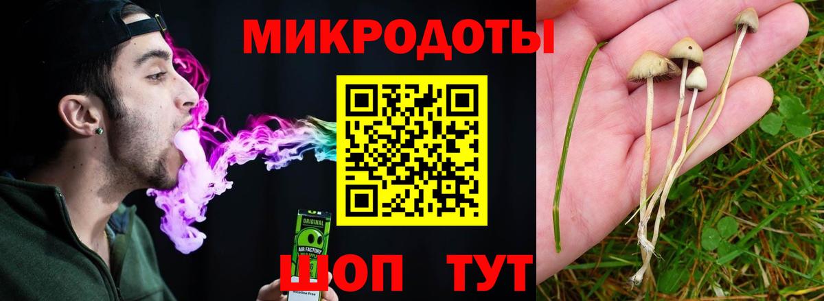 Тында  Псилоцибиновые грибы ЛСД  Вход с VPN 
